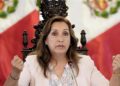 Dina Boluarte Congresistas de izquierda impulsan destitución de presidenta peruana, Dina Boluarte