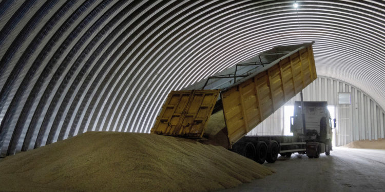 Gobierno de Hungría se suma a Polonia y cancelan sus importaciones del grano ucraniano