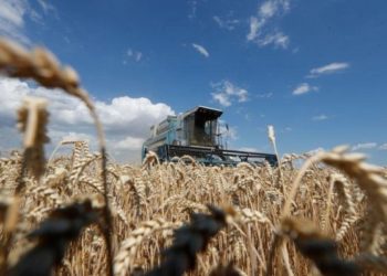 Polonia prohíbe importación de productos procedentes de Ucrania