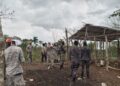 Autoridades desmantelan conucos ilegales Arrestan a 189 personas por provocar daños al Parque Nacional Los Haitises