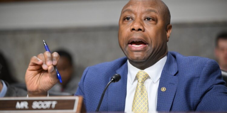 El senador republicano Tim Scott lanza su candidatura a la presidencia de EE.UU.