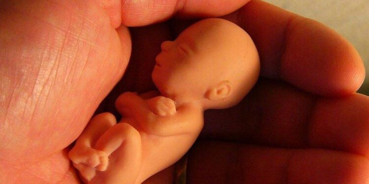 Bajarán a 15 años la edad para abortar sin consentimiento paterno en Dinamarca