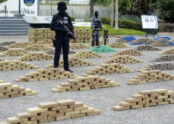 ¡Duro golpe al narcotráfico! Incautan en Ecuador más de 4 toneladas de cocaína