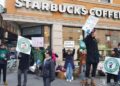 f960x540 545513 619588 7 Empleados de Starbucks irán a huelga por prohibición de símbolos LGBT+