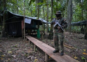 ¡Golpe al narcotráfico! Bolivia destruye 7 megalaboratorios de cocaína