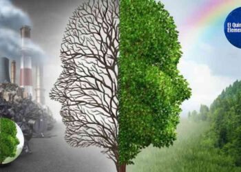 Desafío ambiental: Proteger nuestro planeta tierra en un mundo cada vez más contaminante