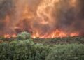 incendio RSTNg0cSs3dVngx1O7MGxuI 758x531@abc Grecia sufre devastadores incendios forestales tras intensa ola de calor