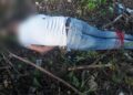 Imagen 828238 Encuentran muerto primer teniente de la Policía Nacional próximo a destacamento de Ciudad Juan Bosch