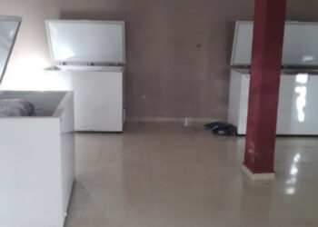 ¡Qué macabro! Hallan 13 cuerpos desmembrados y refrigerados en Veracruz