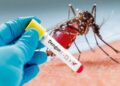 VLFIODPQ7RFVJD2MG44BPC3GEY Salud Pública detecta foco de contagios de dengue en SDN