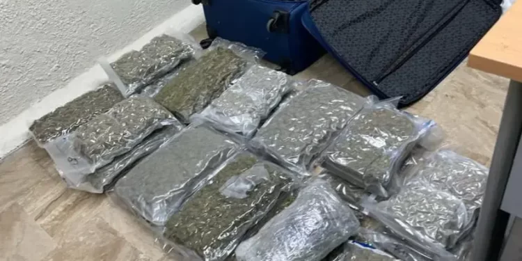 ¡Insólito! Mujer deja maleta con 27 paquetes de marihuana en Punta Cana