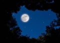 WhatsApp Image 2023 08 30 at 6.01.03 PM ¡Atentos! Superluna azul de agosto será visible en las próximas horas
