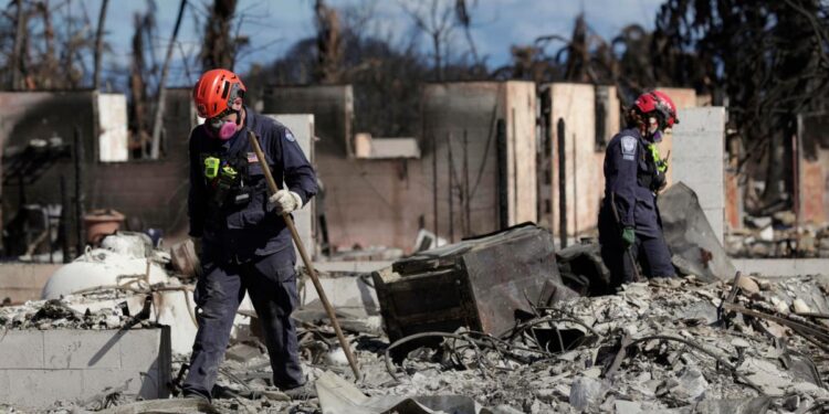 Incendios en Hawái dejan 114 muertos y 850 desaparecidos