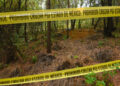 6517d47059bf5b559a739885 1 Encuentran más de 40 cuerpos sin vida en una fosa clandestina en México