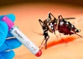 wadqwk Reportan casi mil posibles casos de dengue en la República Dominicana
