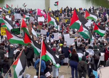 Protestan en apoyo a Palestina en Washington, EE.UU.