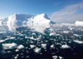 c2d66552aa9d337f353b3d81d0271070 XL Más del 40 % de las plataformas de hielo de la Antártida se redujeron, según estudio