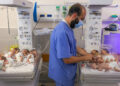 655b3bfd59bf5b622b43302c Mueren 8 recién nacidos que fueron evacuados del hospital Al Shifa de Gaza
