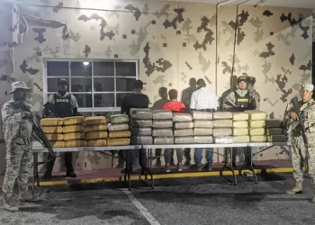 Autoridades ocupan  499 libras de marihuana en Pedernales 