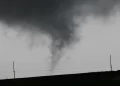 tornado en eeuu d202 Fuerte tormenta y tornado mata a seis personas en EE. UU.