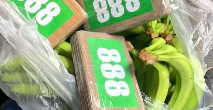 Ecuador incauta más de media tonelada de cocaína oculta en cajas de banano
