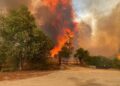 Screenshot 20240203 065100 Aumenta a 122 la cifra de muertos en Chile por incendios forestales