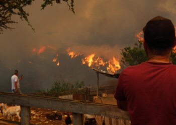 Destituyen al director de Desastres de Chile tras las 130 muertes en Valparaíso 