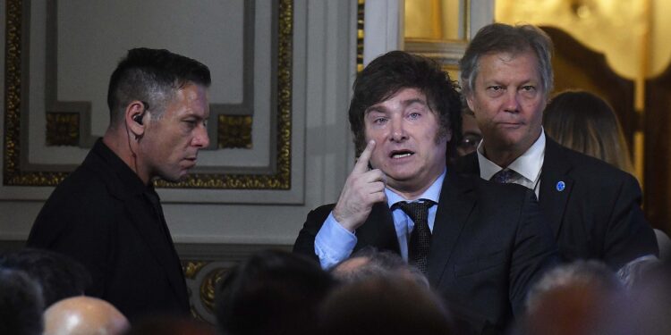 Denuncian a Milei ante la ONU por daños potenciales del DNU y ley ómnibus