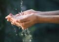 Dia Mundial del Agua Tips para Cuidarla 1140x694 1 Hoy se celebra el Día Mundial del Agua
