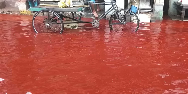 Advierten sobre «lluvia de sangre» en España