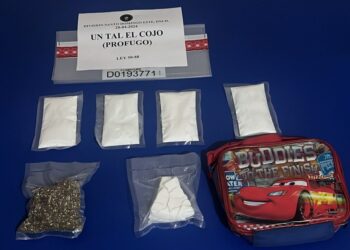 Incautan más de 700 kilos de distintas drogas y apresan 3.200 personas en RD