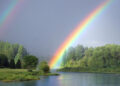 arcoiris Hoy es Día Mundial del Arcoíris
