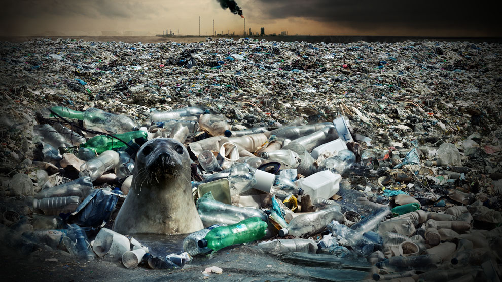 planeta plastico 3 3 Con el lema “El planeta versus plásticos”, hoy celebramos el Día de la Tierra