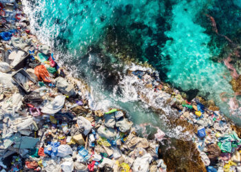 Con el lema “El planeta versus plásticos”, hoy celebramos el Día de la Tierra