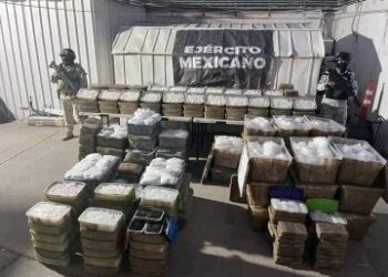 Ejército mexicano ocupa gran cargamento de droga oculta entre vísceras de animales
