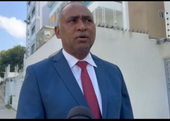Diputado del PRM considera “injusto” sustituir jefe de la Policía Electoral