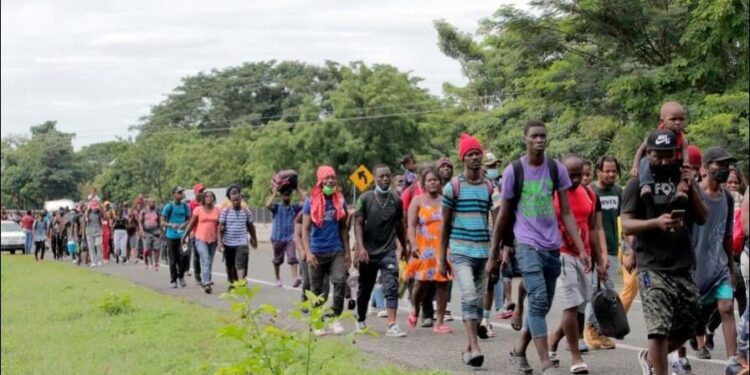 86,000 haitianos han sido devueltos “a la fuerza” hacía su país 