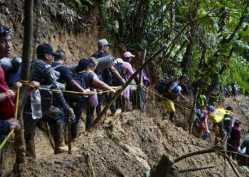 230,000 migrantes atravesaron la selva del Darién en 2024, mayoría venezolanos