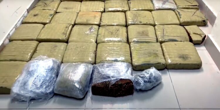 Detienen hombre con más de 570 libras de marihuana en Santiago 
