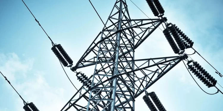 Exsuperintendente de Electricidad analiza el futuro de las pérdidas eléctricas y la energía en 2025