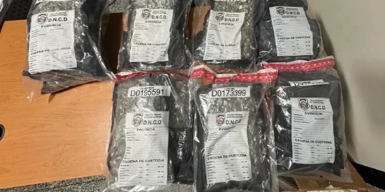 Confiscan 15 paquetes de marihuana en el AILA durante operativo