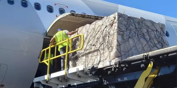 Rusia envía más de 800 toneladas de ayuda humanitaria a Gaza a través de Egipto