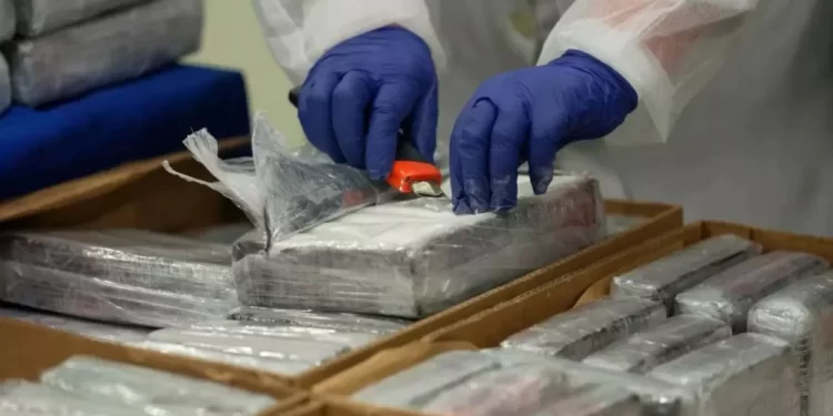 Desmantelan red que introdujo 350 kilos de cocaína desde Costa Rica a España