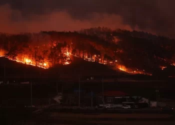 Incendios forestales en Corea del Sur dejan 24 muertos y miles de evacuados
