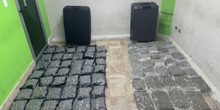 Incautan más de 500 paquetes de marihuana en aeropuerto de La Romana